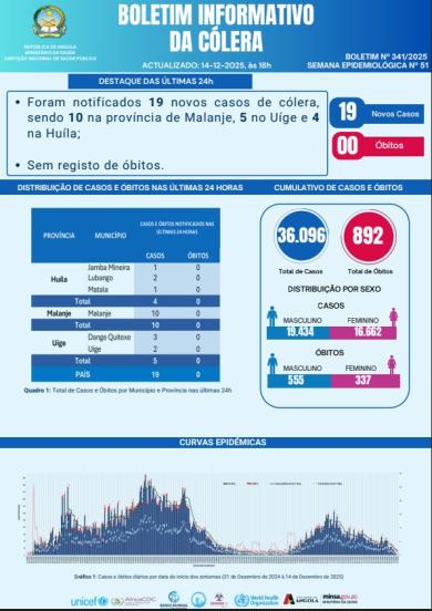 Boletim de Colera 2025 Nº 341